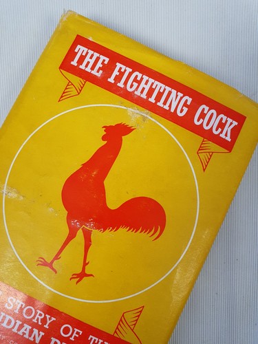 The fighting cock 23rd indian - cock,