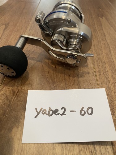 Daiwa saltiga japanese - daiwa, 15