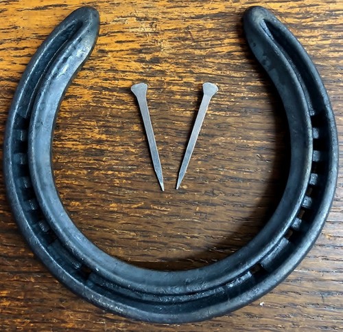 100 new real horseshoes - real, +
