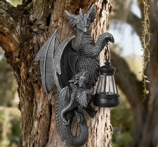 Dragon Tree Hugger stunning
