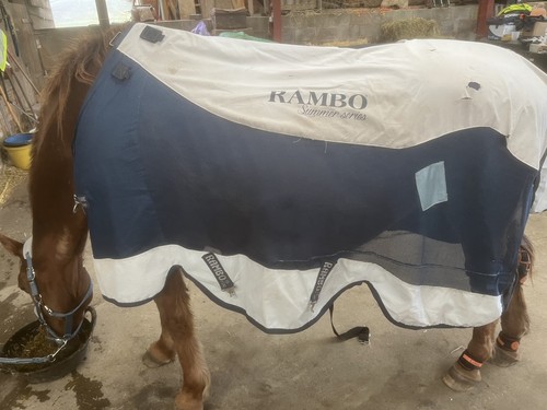 Rambo summer series - summer, waterproof