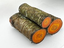 Wild cherry wood log blank - log, for
