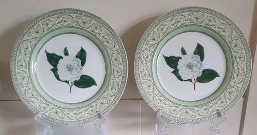 Royal horticultural - (two),