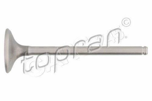 Inlet valve fits renault - inlet,
