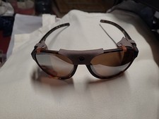 Julbo Glacier Sunglasses