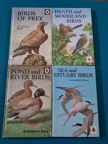 Ladybird books birds prey - ladybird,