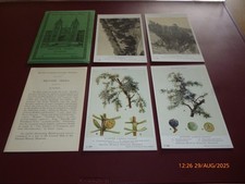 BRITISH MUSEUM (N/HISTORY)