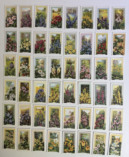 Gallaher cigarette cards 1939 - gallaher,