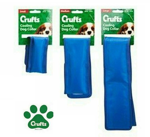 Crufts summer holiday pet dog - holiday,