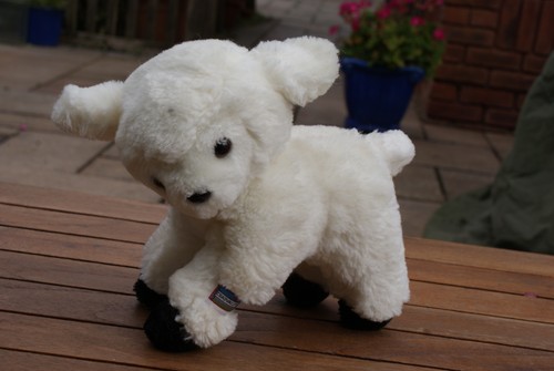 Chad valley white lamb - chad,