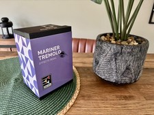 Maestro Mariner Tremolo Guitar