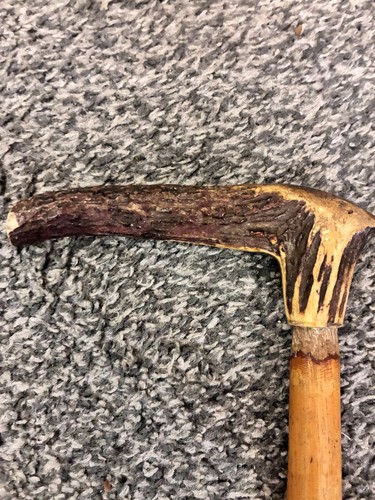 Antique stag horn handle - antique,