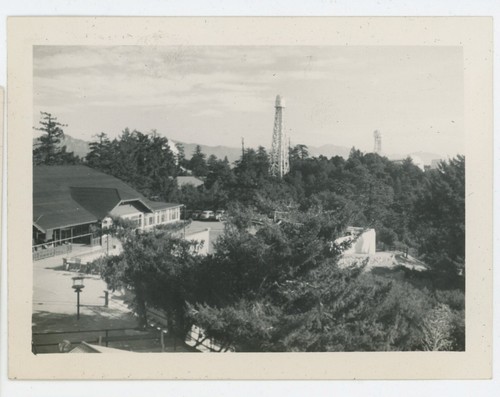 Vintage photo wilson - photo,