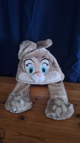 Disneyland paris miss - disneyland,