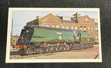 1976 Doncella Golden Age of