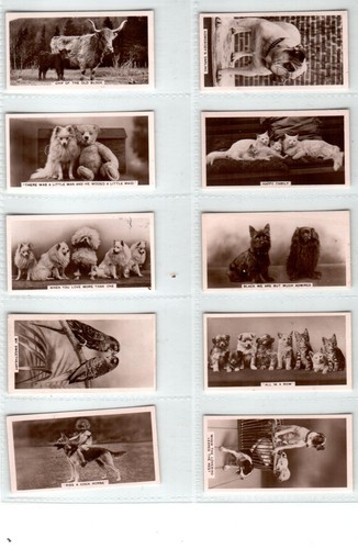 Cavanders animal studies 1936 - animal,