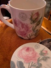 Kew Royal Botanic Gardens Rose