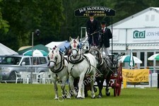 Photo 12x8 The South of