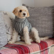 Dog Luxury Knitted Fitted Warm