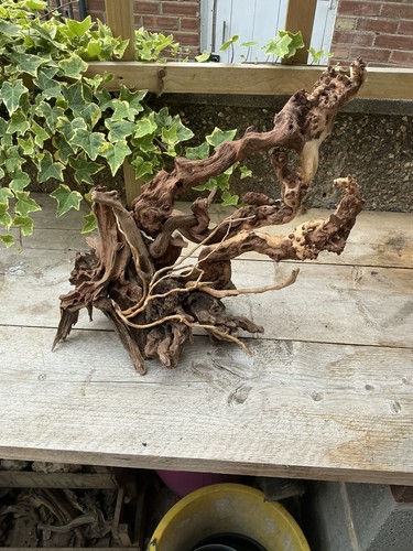Aquarium driftwood handcrafted - aquarium,