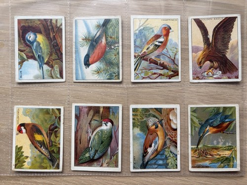 Complete set 12 sainsbury - set,