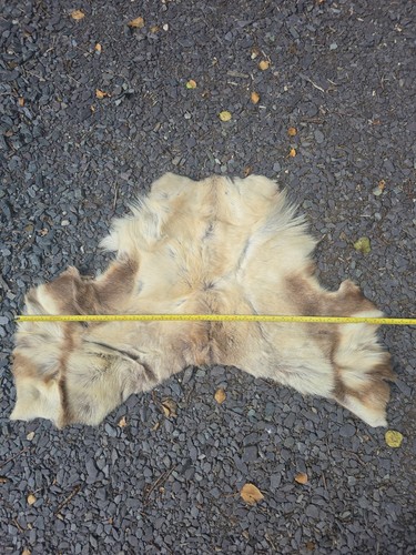 Reindeer skin saddle pad - skin, or