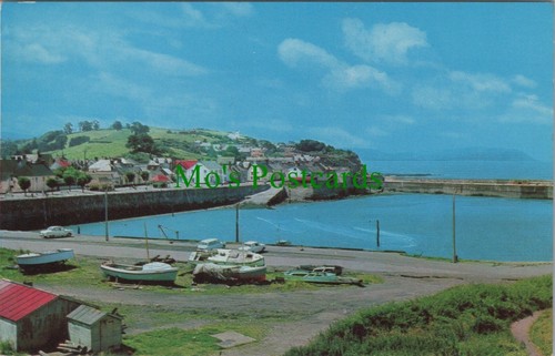 Somerset postcard watchet - postcard,