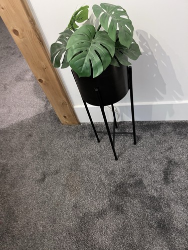 Powder coated tall planter - powder,