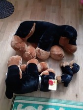 Simply Soft Collection Black