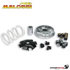 Malossi Variator for Piaggio
