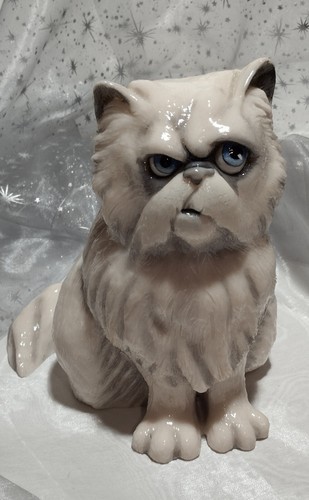 Arora pets with personality - arora,