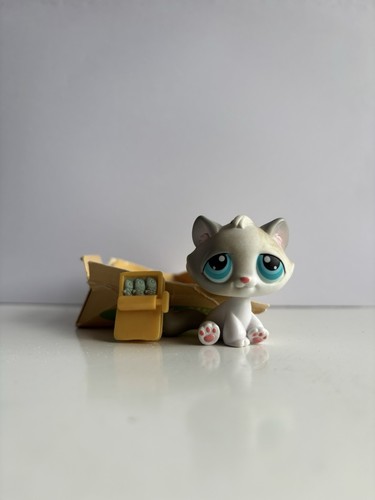 Cat with accessories 53 - cat,