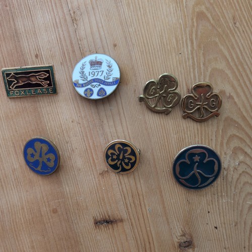 Vintage girl guiding enamel - girl,