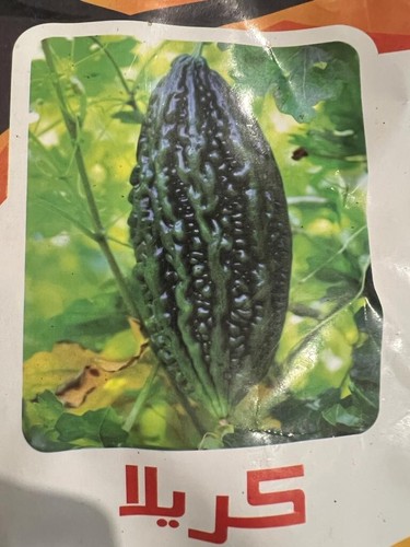Bitter gourd seeds - bitter,