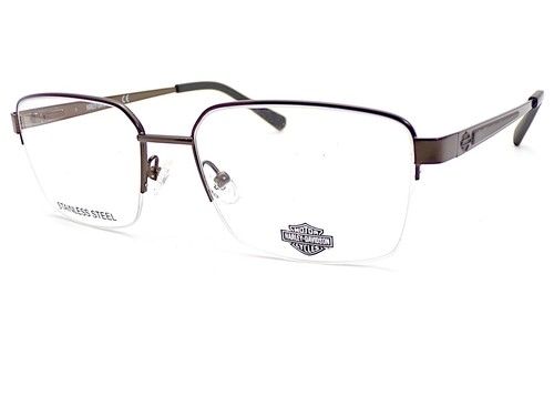 Harley davidson glasses frame - davidson,