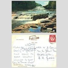 Vintage Postcard - The Lower