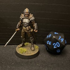 Dungeons And Dragons Human Mercenary Warrior Painted Galaad Miniatures 