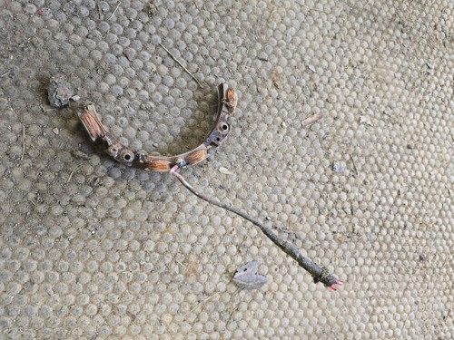 Alternator stator ring - alternator,