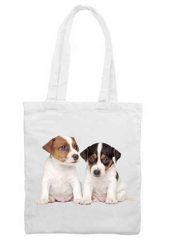 Jack russell puppies cotton - russell,