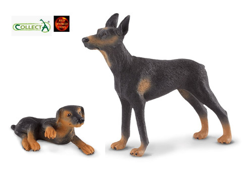Doberman pinscher dog - pinscher, and
