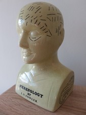 Phrenology Head Bust by L.N. Fowler – Crackle Glaze Ceramic, Giftworks UK