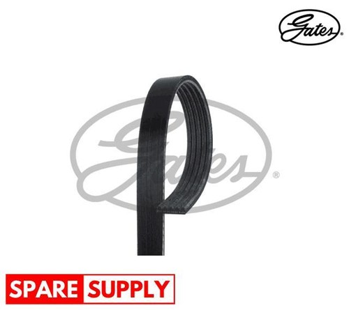 Ribbed belts for bmw - v-ribbed, e46