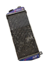 Rotax Max Evo Genuine Silver