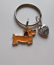 Adorable Sausage Dog Dachshund