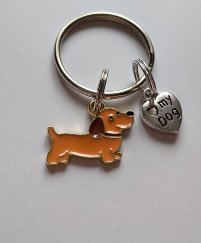 Adorable sausage dog - sausage,