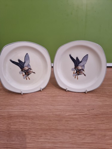 Vintage peter scott wild - vintage,