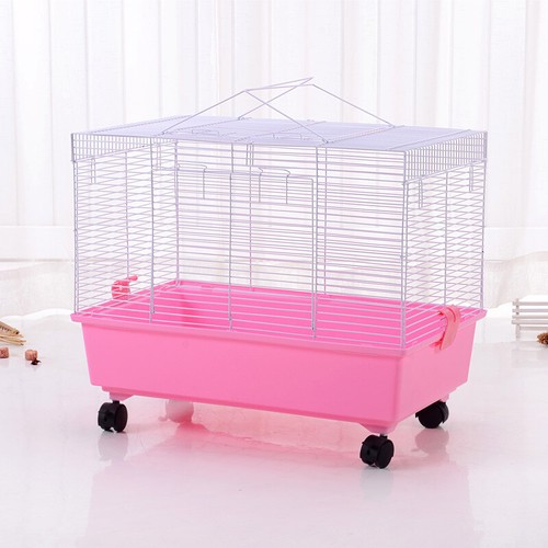 Deep tray animal hamster - animal,