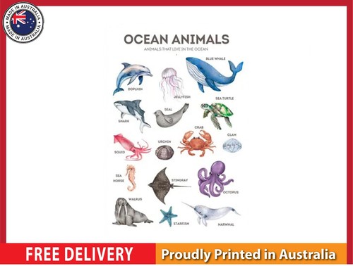 New ocean animals - new,