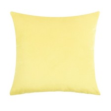 Plush Velvet Cushion Cover