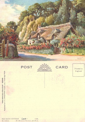 Vintage postcard old maids - postcard,